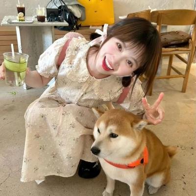家乡的消息
